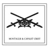 Montague & Capulet Crest Decorative Pillow * CUSTOMIZABLE *