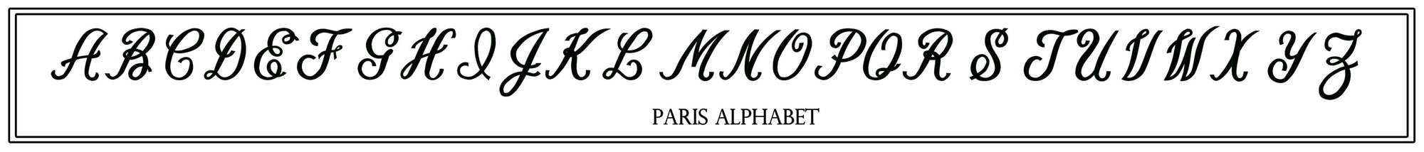 Paris Decorative Pillow * CUSTOMIZABLE *